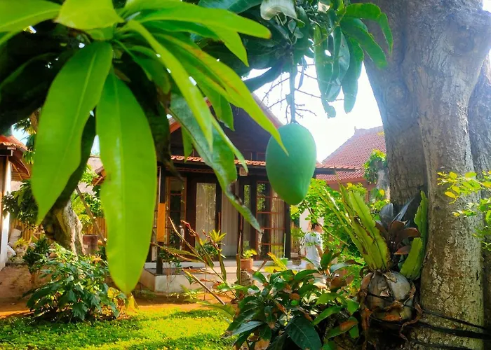 Vanaya Longterm Wooden Hidden By Lush Garden