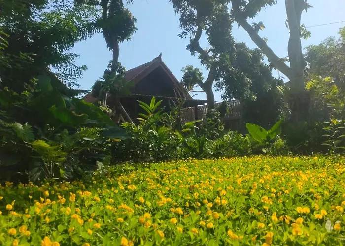 Vanaya Longterm Wooden Hidden By Lush Garden Alloggio in famiglia Pemuteran
